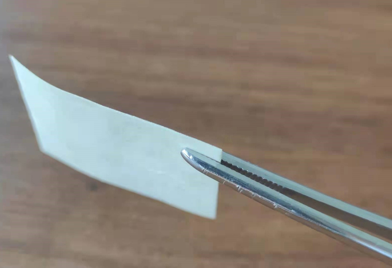 牙科用膜植入式胶原蛋白